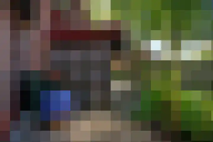 Bastertkamp 65 Zwolle thumbnail 33