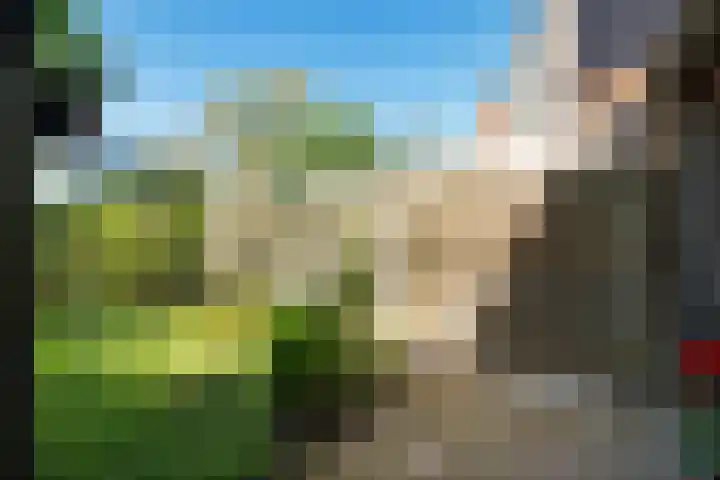 Bastertkamp 65 Zwolle thumbnail 34
