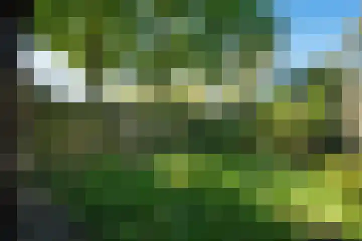 Bastertkamp 65 Zwolle thumbnail 35