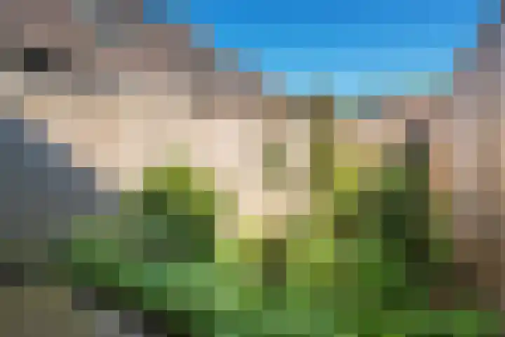 Bastertkamp 65 Zwolle thumbnail 36