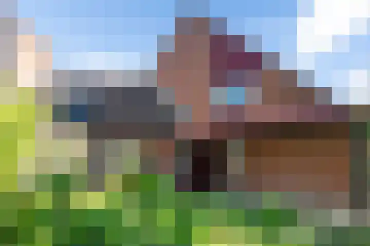 Bastertkamp 65 Zwolle thumbnail 37