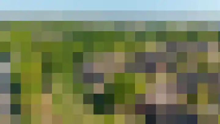 Bastertkamp 65 Zwolle thumbnail 39