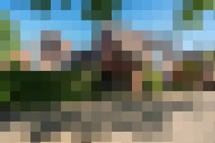 Bastertkamp 65 Zwolle thumbnail 46