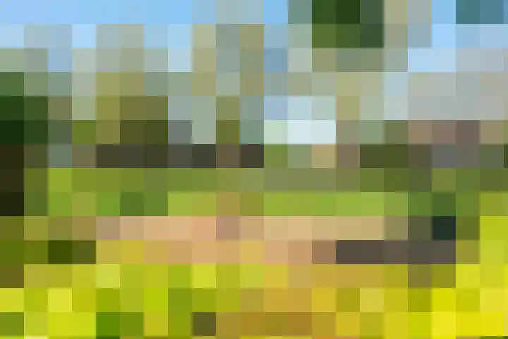 Bastertkamp 65 Zwolle thumbnail 5
