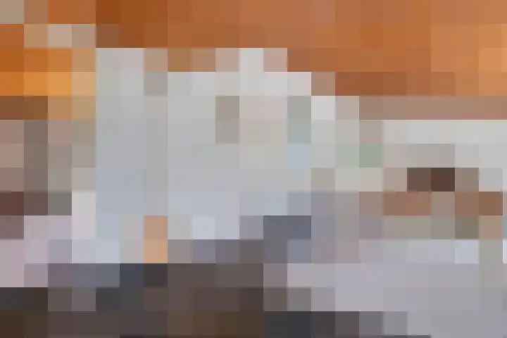 Bastinglaan 4 Enschede thumbnail 12