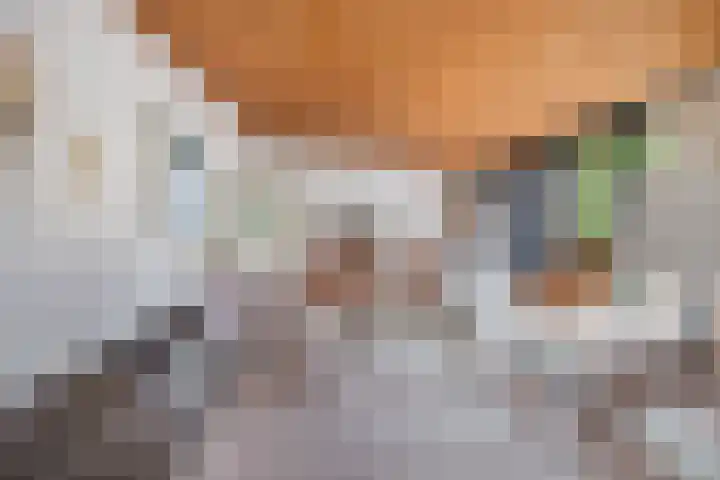 Bastinglaan 4 Enschede thumbnail 14