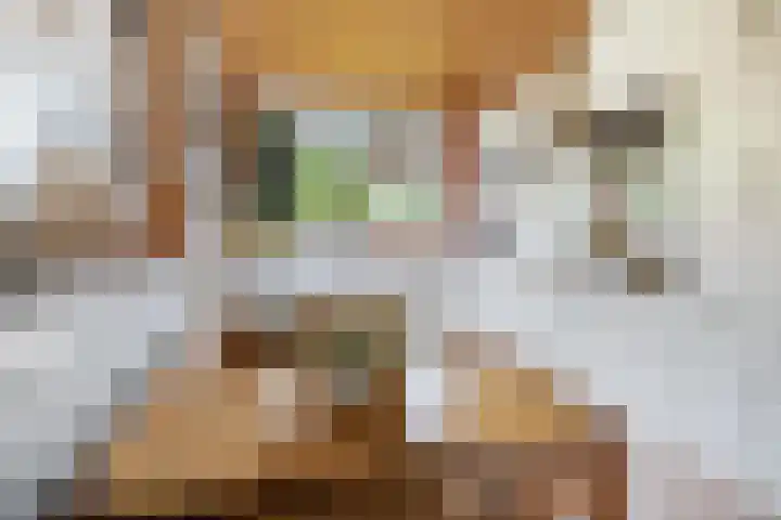 Bastinglaan 4 Enschede thumbnail 23