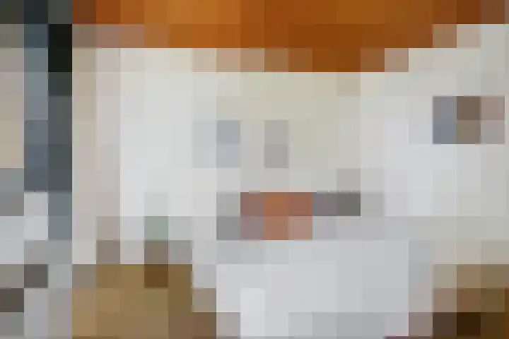 Bastinglaan 4 Enschede thumbnail 27