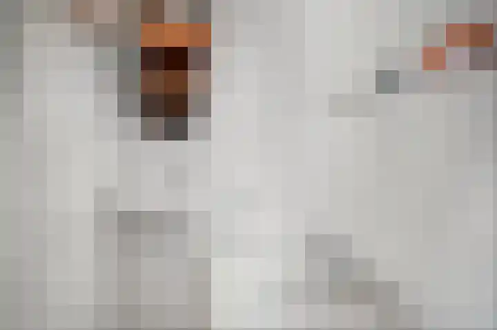 Bastinglaan 4 Enschede thumbnail 35