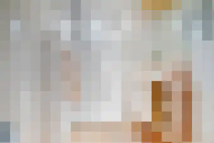 Bastinglaan 4 Enschede thumbnail 36