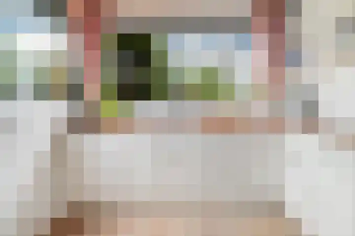 Bastinglaan 4 Enschede thumbnail 4