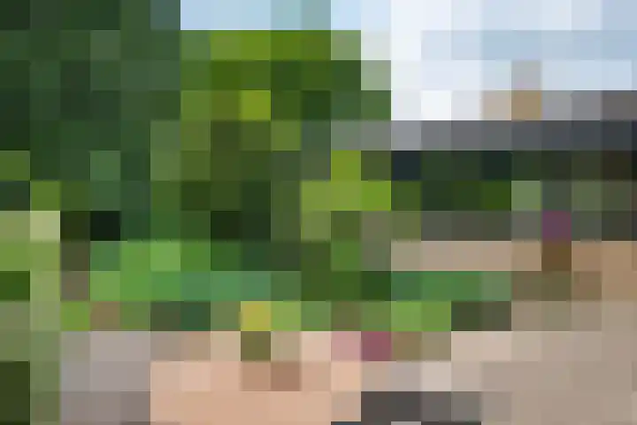 Bastinglaan 4 Enschede thumbnail 41