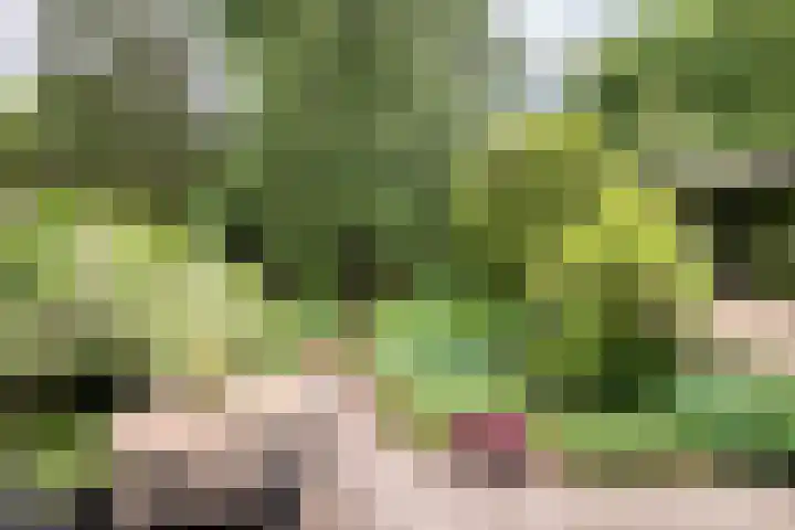 Bastinglaan 4 Enschede thumbnail 42