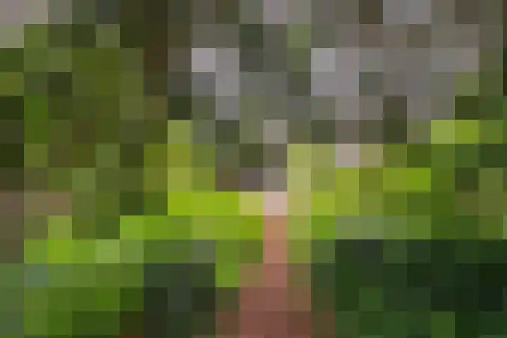 Bastinglaan 4 Enschede thumbnail 45