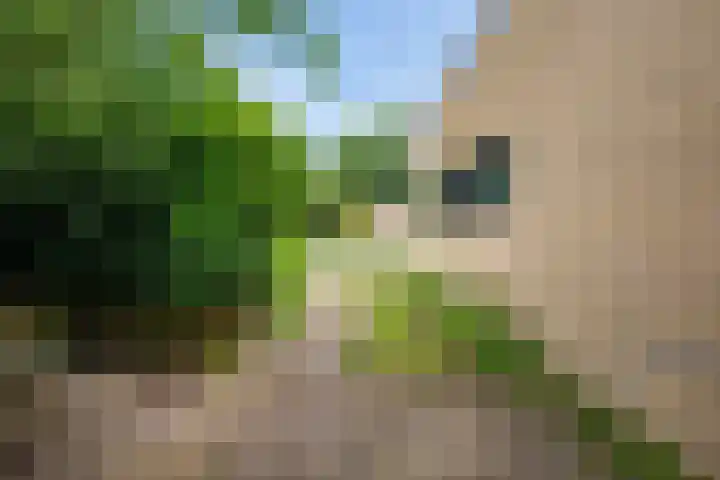 Bastinglaan 4 Enschede thumbnail 46