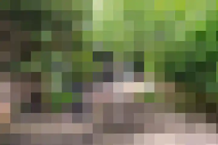 Bastinglaan 4 Enschede thumbnail 5