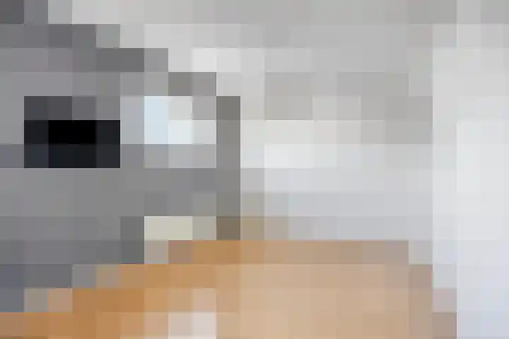 Bastion 13 Beverwijk thumbnail 17