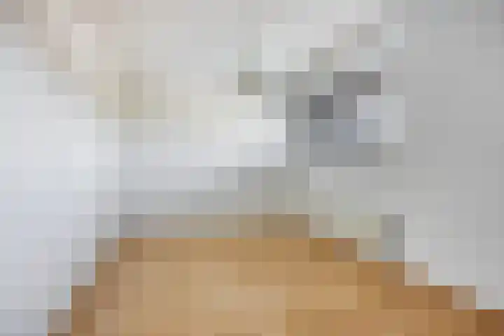 Bastion 13 Beverwijk thumbnail 22