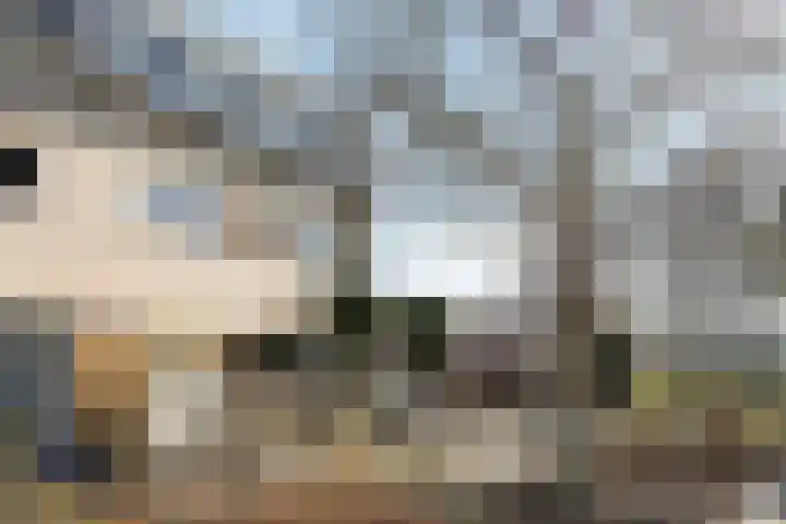 Bastion 13 Beverwijk thumbnail 4