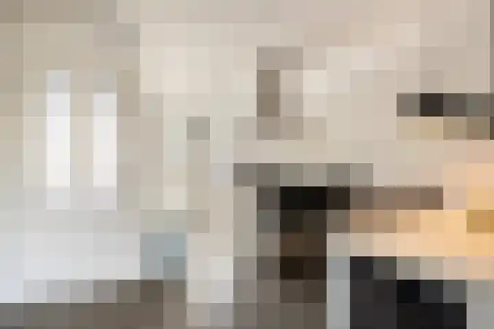 Bastion 29 Steenbergen thumbnail 11