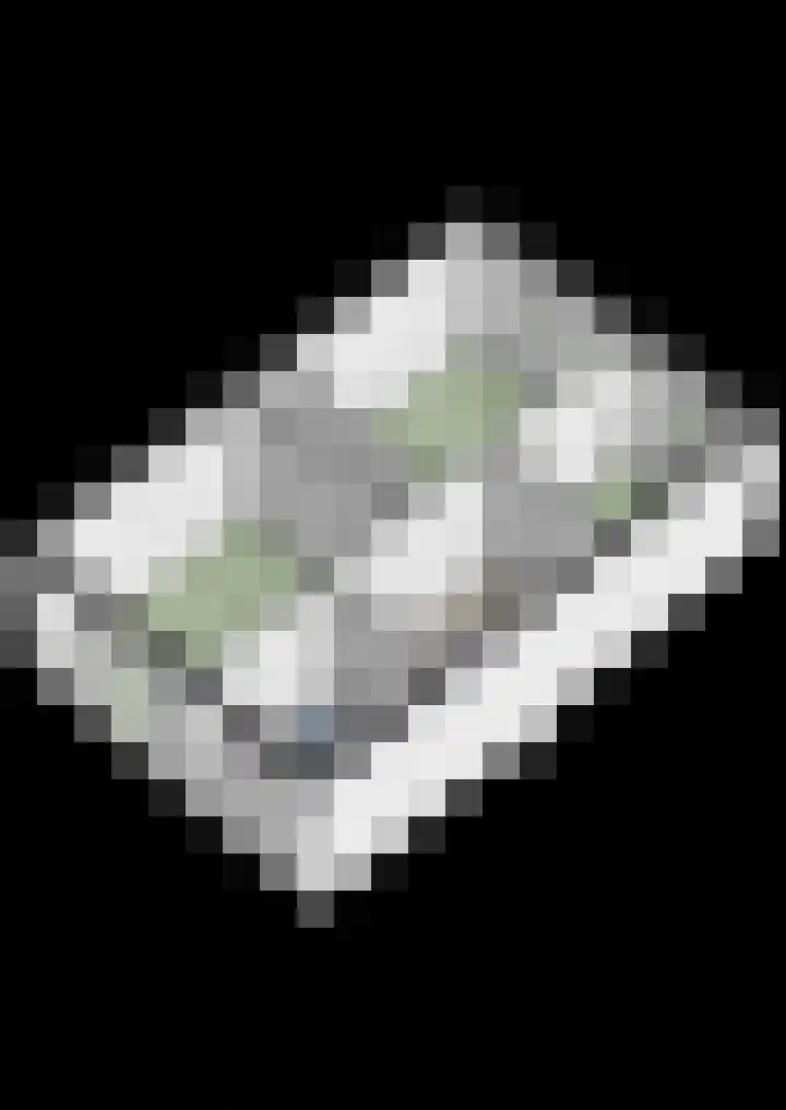 Bastion 29 Steenbergen thumbnail 46