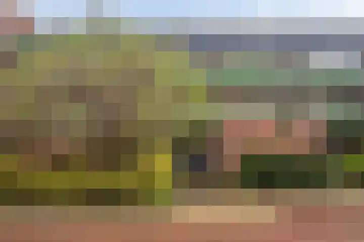Bastion 295 Lelystad thumbnail 5