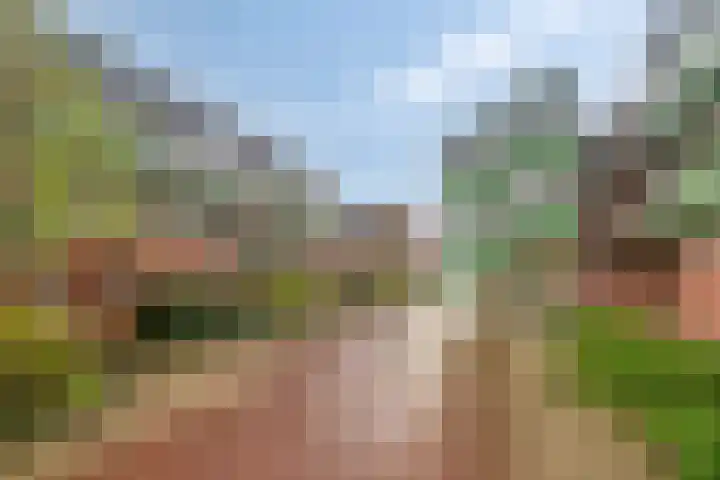Bastion 295 Lelystad thumbnail 6