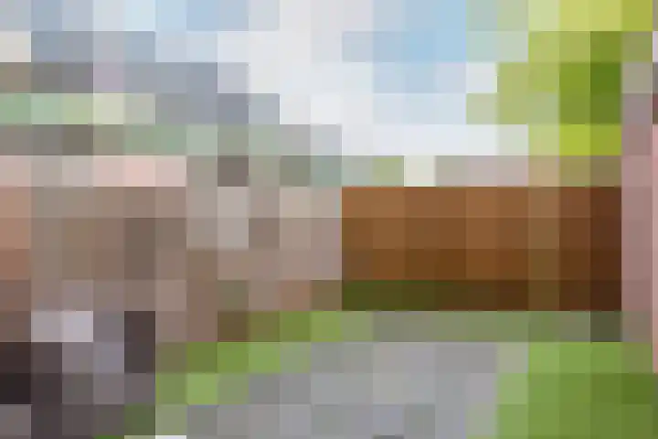 Bastion 383 Lelystad thumbnail 21