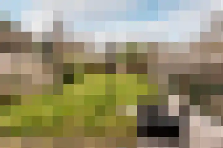 Bastion 47 Lelystad thumbnail 32