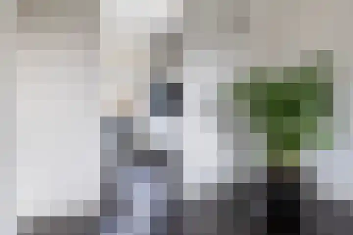 Bastion 5 Emmen thumbnail 10