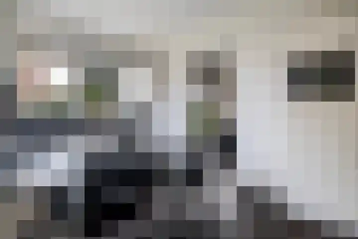 Bastion 5 Emmen thumbnail 12