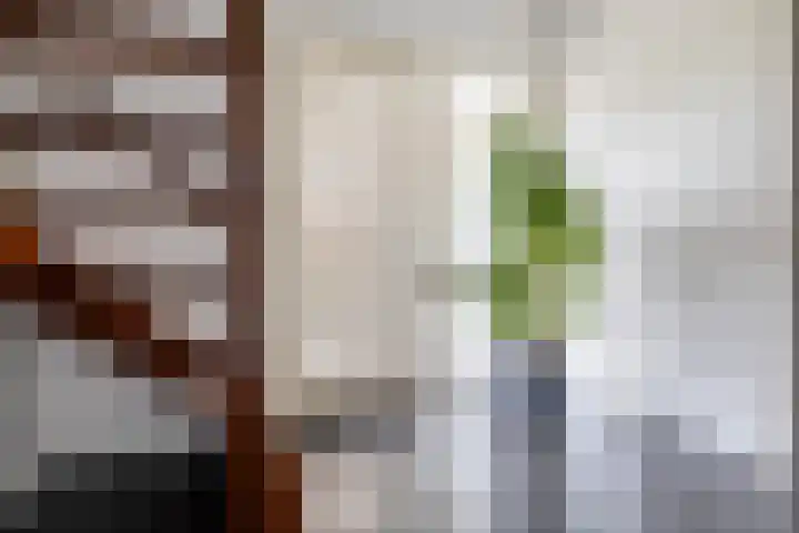 Bastion 5 Emmen thumbnail 19