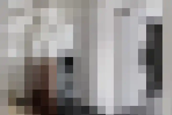 Bastion 5 Emmen thumbnail 20