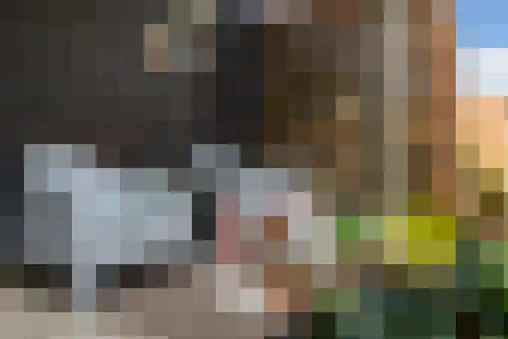 Bastion 5 Emmen thumbnail 40