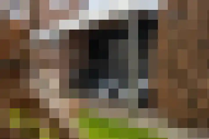 Bastion 5 Emmen thumbnail 41