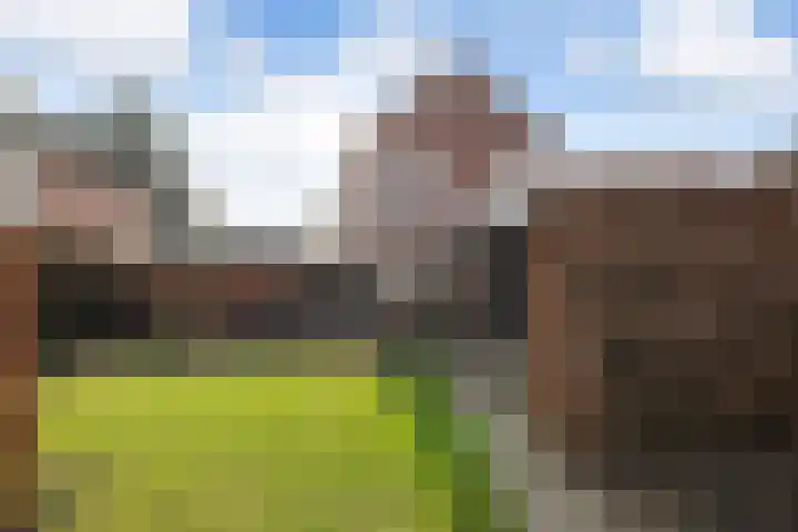 Bastion 5 Emmen thumbnail 43