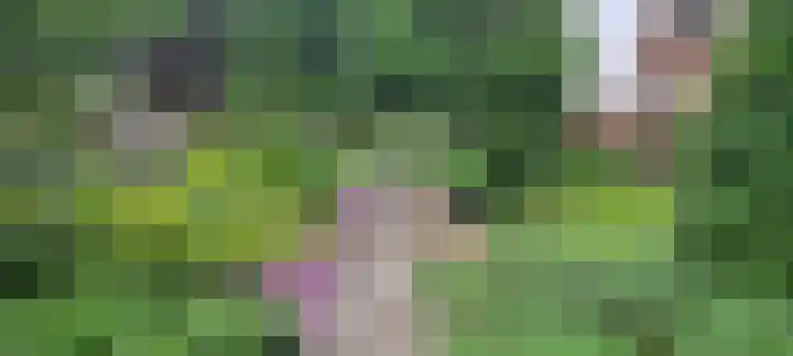 Bastion 5 Emmen thumbnail 52