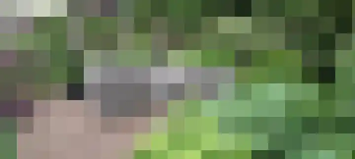 Bastion 5 Emmen thumbnail 53