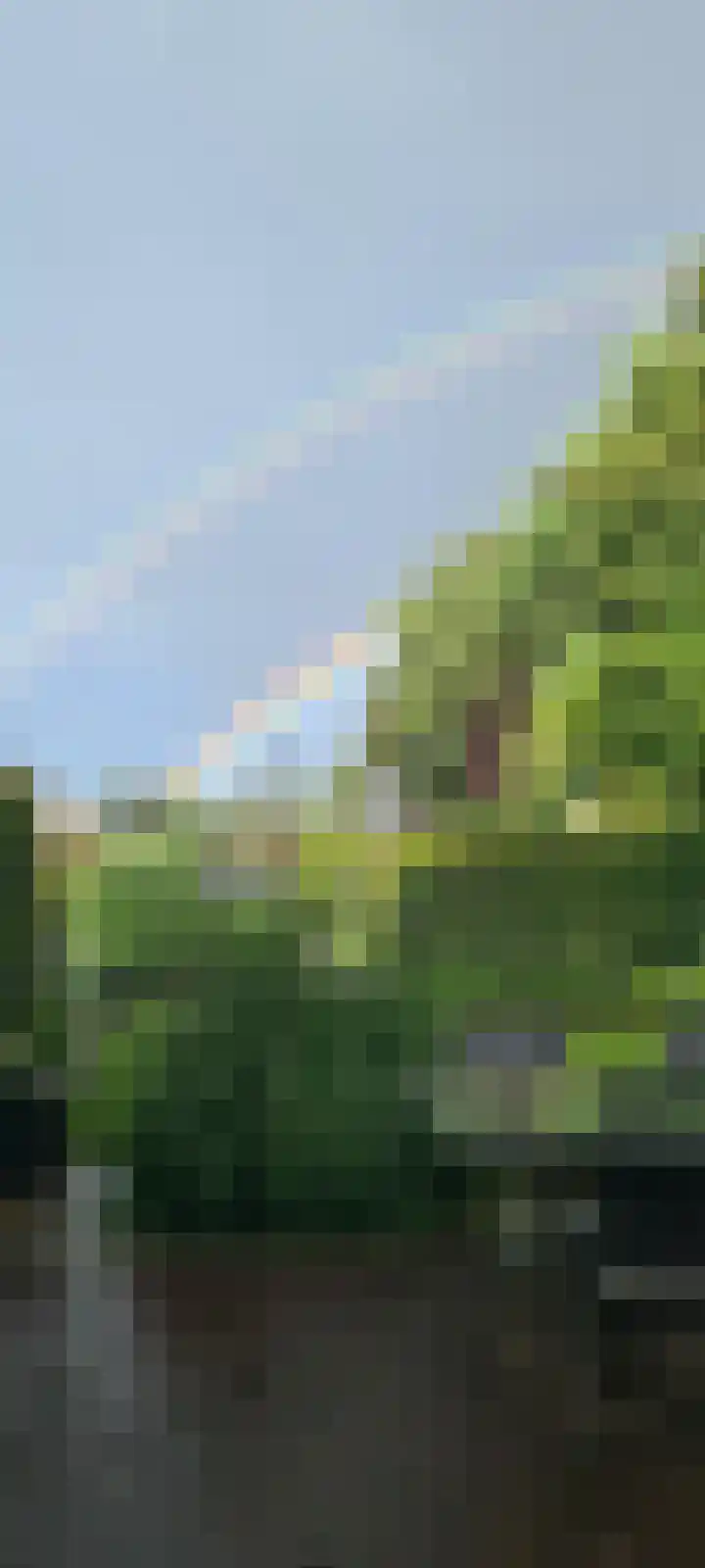 Bastion 5 Emmen thumbnail 54