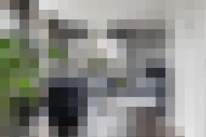 Bastion 5 Emmen thumbnail 7