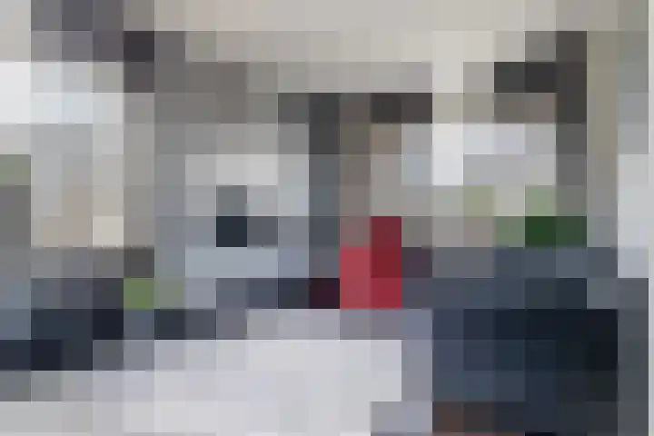 Bastion 5 Emmen thumbnail 8