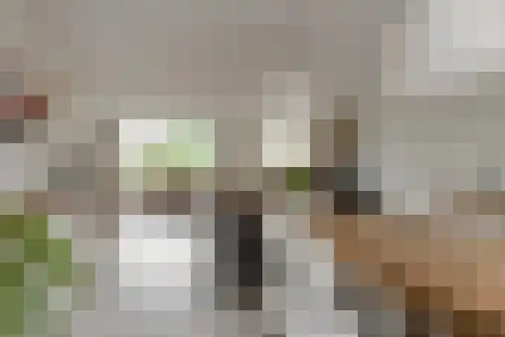 Bastion 8 Terheijden thumbnail 20