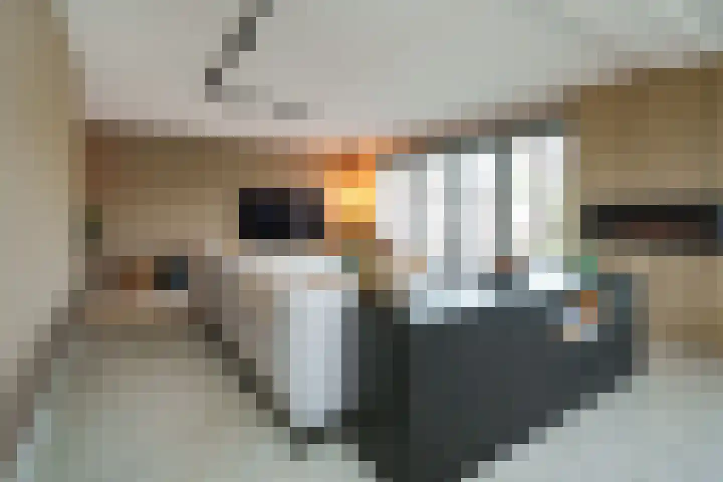 Bastionhof 2 Langerak thumbnail 12