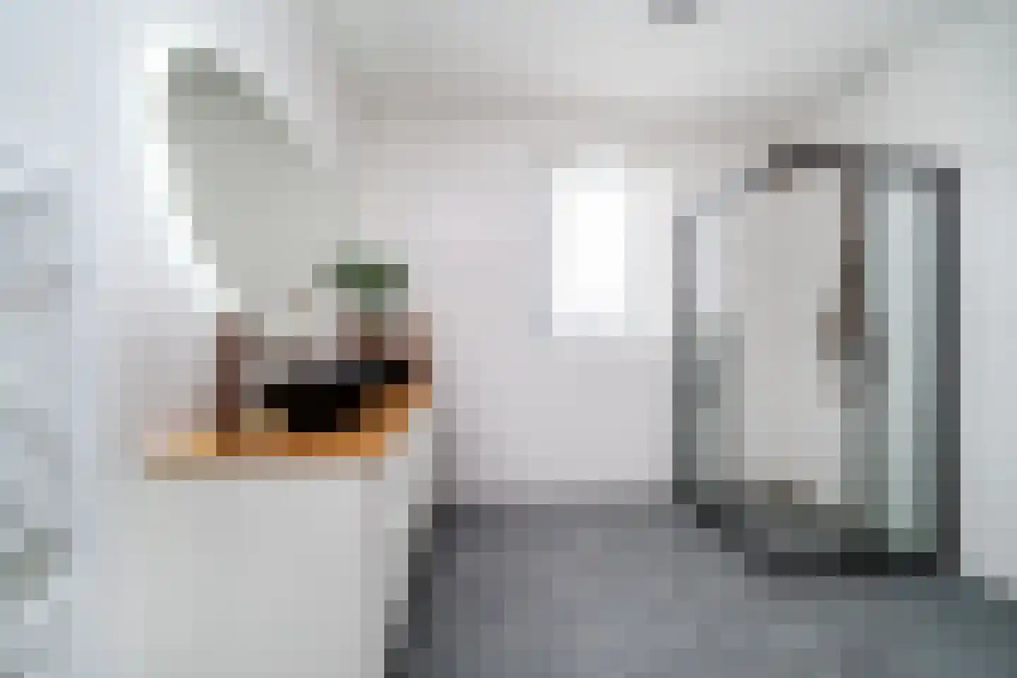 Bastionhof 2 Langerak thumbnail 36
