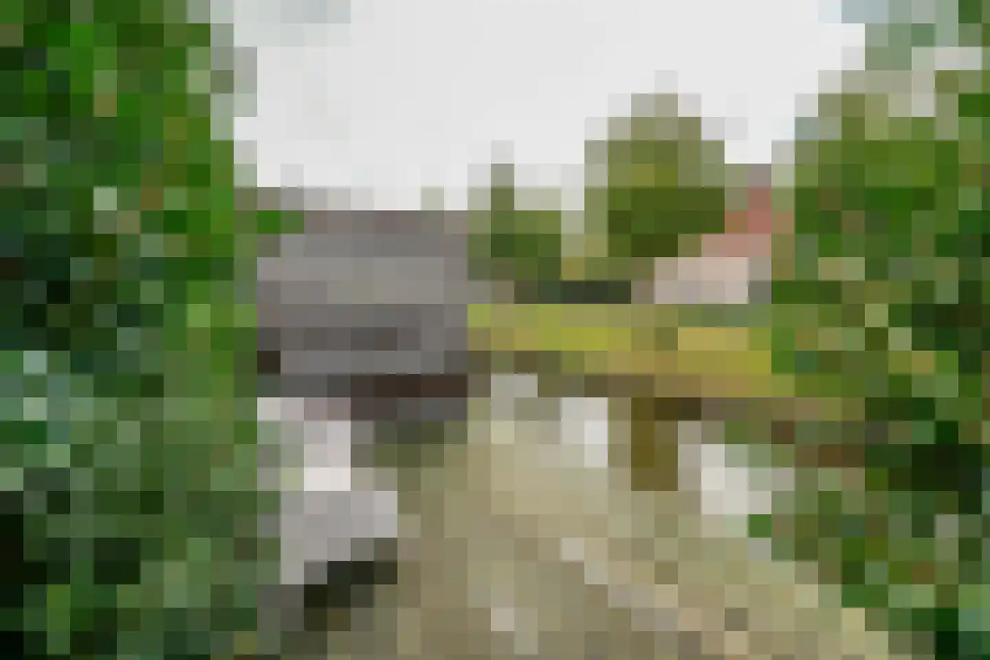 Bastionhof 2 Langerak thumbnail 49