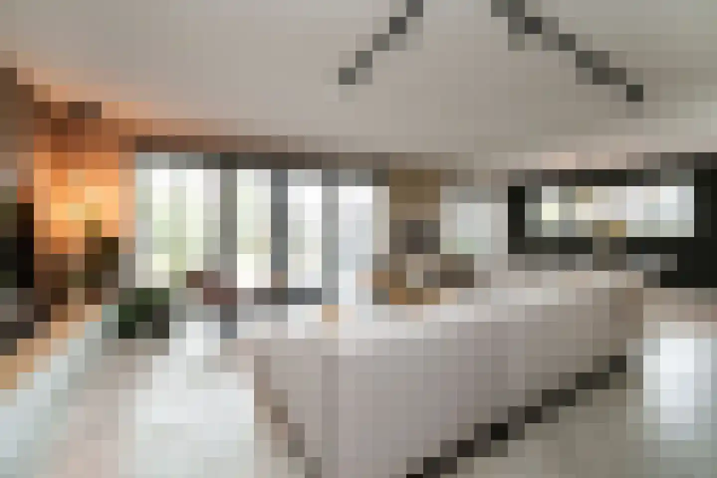 Bastionhof 2 Langerak thumbnail 5