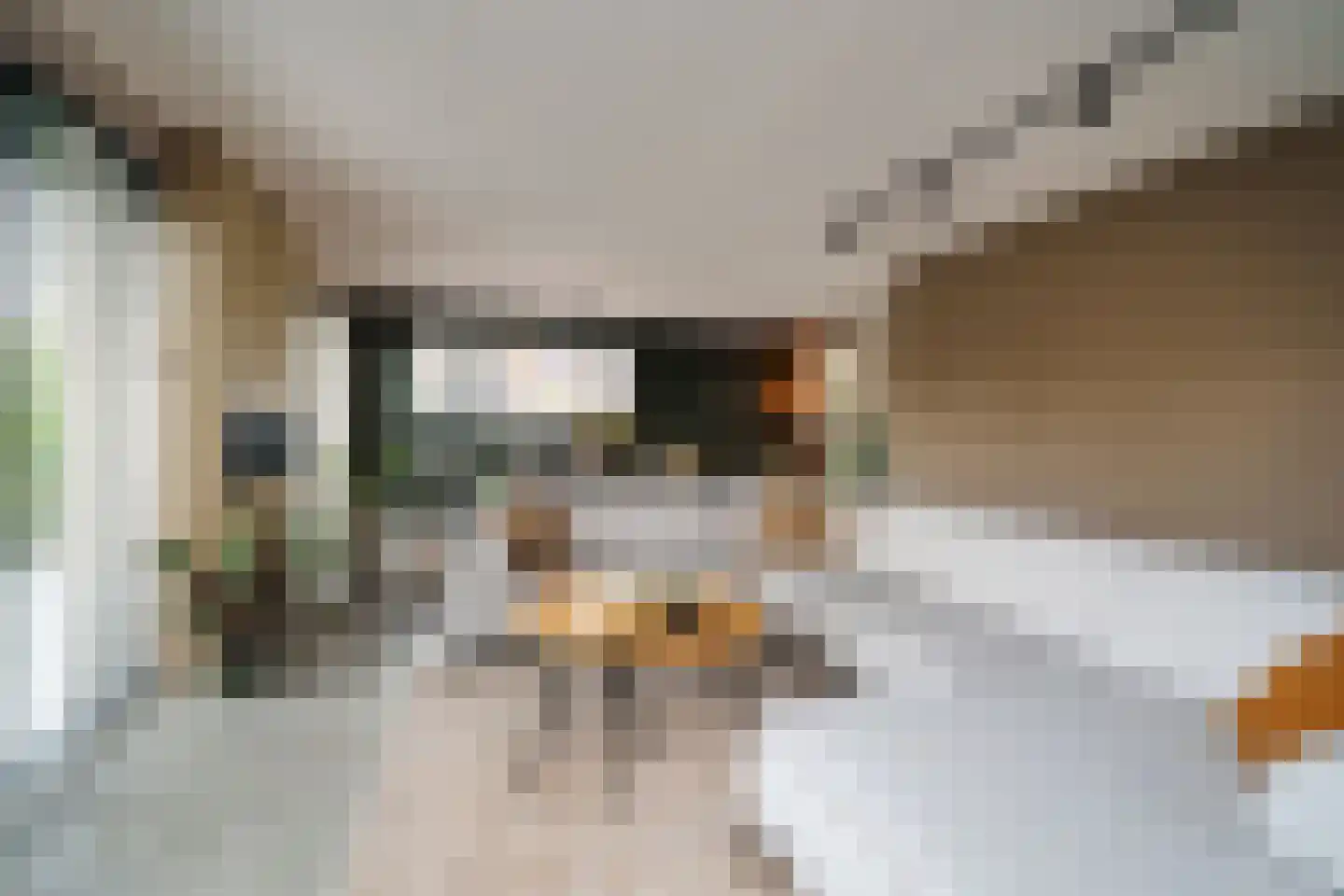 Bastionhof 2 Langerak thumbnail 7