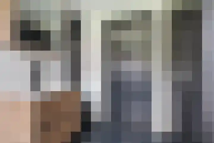 Bastionstraat 3 Bredevoort thumbnail 16
