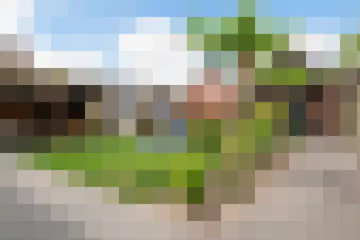 Bastionstraat 3 Bredevoort thumbnail 39