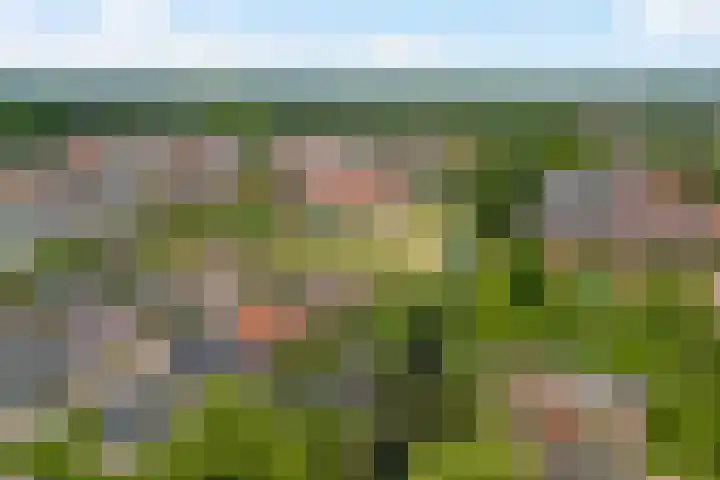Bastionstraat 3 Bredevoort thumbnail 43
